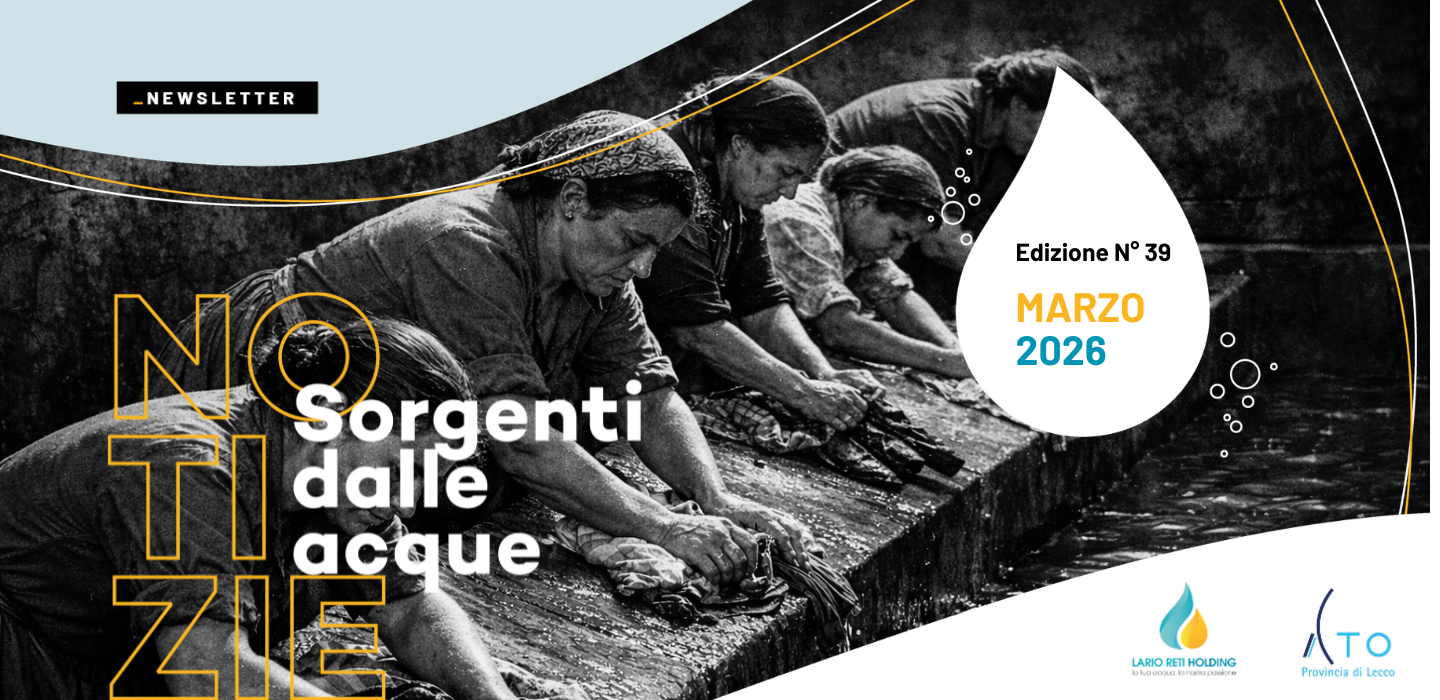 nEWSLETTER_header_39